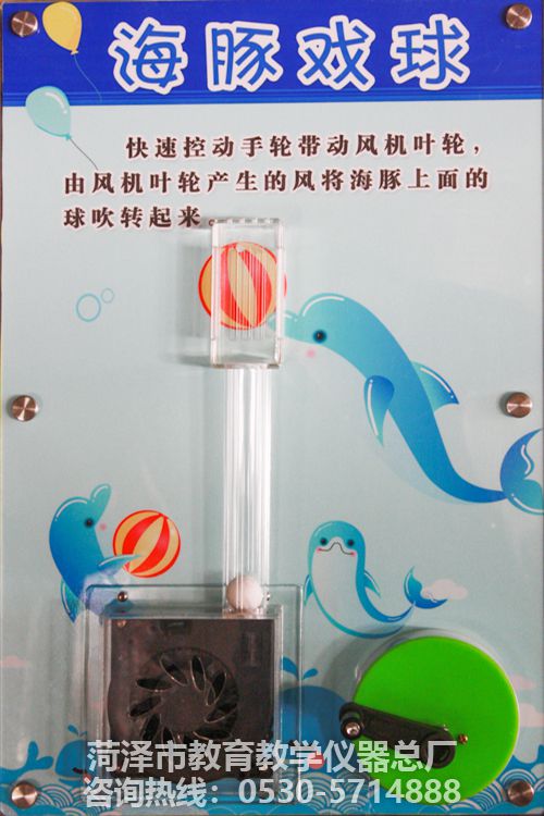 壁掛科普——海豚戲球(圖1)